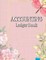 Accounting Ledger Book