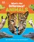 What's the Difference? Animals
