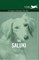 The Saluki - A Complete Anthology of the Dog