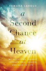 A Second Chance at Heaven A Second Chance at Heaven