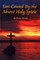 Sins Caused By the Absent holy Spirit