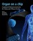 Organ-On-A-Chip