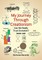 My Journey through Creationism