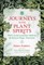 Journeys with Plant Spirits