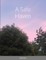 A Safe Haven