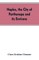 Naples, the city of Parthenope and its environs