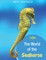 Seahorse Activity Workbook For Kids ages 4-8