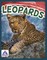 Leopards