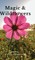 Magic & Wildflowers