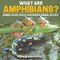 What are Amphibians? Animal Book Age 8 Children's Animal Books