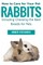 How to Care for Your Pet Rabbits