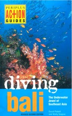 Diving Bali
