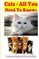 Cats - All You Need To Know