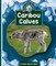Caribou Calves