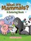 What are Mammals? (A Coloring Book)