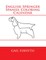 English Springer Spaniel Coloring Calendar