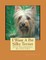I Want A Pet Silky Terrier