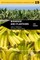 Bananas and Plantains
