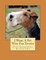 I Want A Pet Wire Fox Terrier