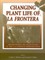 Changing Plant Life of La Frontera