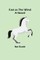 Fast as the Wind A Novel