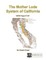 The Mother Lode System of California