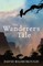 The Wanderer's Tale