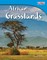 African Grasslands