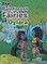The Rainforest Fairies of Oylara