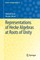Representations of Hecke Algebras at Roots of Unity
