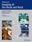 Imaging of the Head and Neck