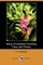 Hardy Ornamental Flowering Trees and Shrubs (Dodo Press)