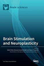 Brain Stimulation and Neuroplasticity Brain Stimulation and Neuroplasticity