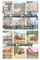 Log Home Package