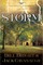 Storm