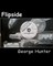Flipside