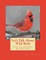 Let's Talk About Wild Birds