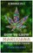 How to Grow Marijuana Indoors and Outdoors