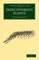 Insectivorous Plants