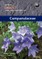World Checklist and Bibliography of Campanulaceae