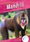 Mandrill