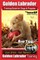 Golden Labrador Training Book for Dogs & Puppies by Bone Up Dog Training