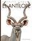 El AntÃ­lope