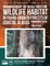 Managing Heart Rot in Live Trees for Wildlife Habitat in Young-Growth Forests of Coastal Alaska