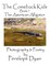 The Comeback Kids, Book 7, the American Alligator