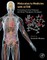 Molecules to Medicine with Mtor
