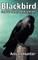 Blackbird