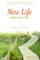 New Life After Divorce