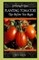 Planting Tomatoes