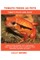 Tomato Frogs as Pets